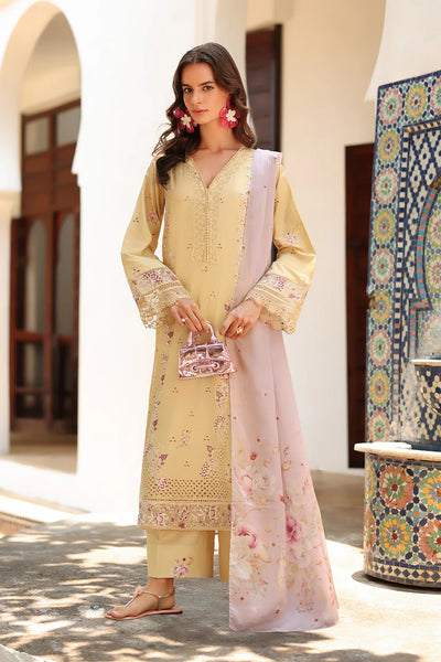Baahar Embroidered 3pc